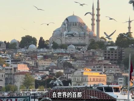 土耳其🇹🇷伊斯坦布尔公共交通实战攻略 一个视频讲清楚伊斯坦布尔的公共交通!
公交、地铁、有轨电车、爬坡缆车、轮船等。
详细的公共交通卡购卡攻略!
#土耳其 #伊斯坦布尔 #土耳其攻略 #伊斯坦布尔攻略