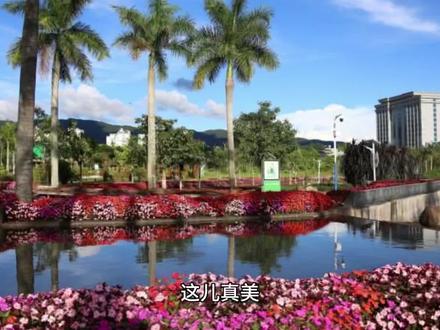 三年级语文上册第六单元《这儿真美》