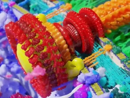 世界上最小的超级马达,竟然不是人造的,太不可思议了 #细菌 #机械原理 #进化 #马达