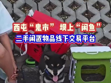 西屯“鬼市” 坝上“闲鱼”
二手闲置物品线下交易平台#二手闲置物品线下交易#夜经济#跳蚤市场 #赤峰