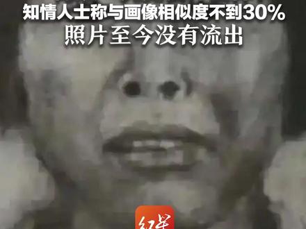 “梅姨”究竟长什么样?知情人士称与画像相似度不到30% 照片至今没有流出 但仍有提前公开的可能