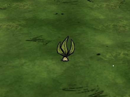 饥荒联机版: 曼德拉草真的很重要吗? #饥荒