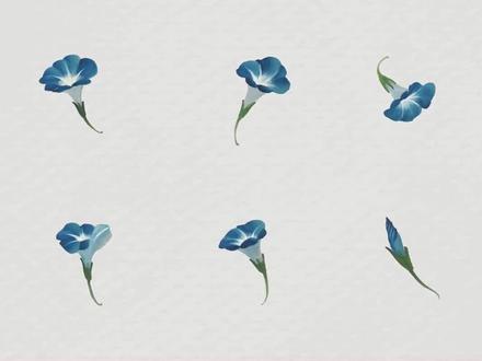 史上最全牵牛花姿态画法 #牵牛花画法#国画教程