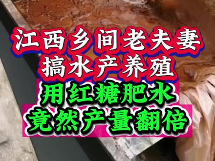 江西乡间老夫妻搞水产养殖,用红糖肥水,竟然产量翻倍#花白鲢养殖 #四大家鱼养殖 #养鱼 #水库养殖@抖音小助手 @抖音热点宝