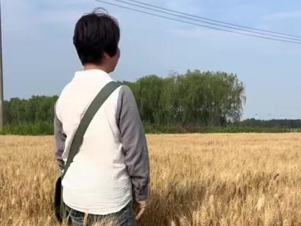 5月21,今日小满!小满小满,麦粒渐满#小满 #二十四节气之小满 #小满节气 #谚语 #二十四节气