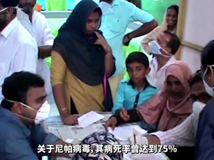 一个75%致死率的陌生对手,尼帕病毒从何而来? #抖出健康知识宝藏 #健康乘风计划 #青年创作者成长计划 #尼帕病毒
