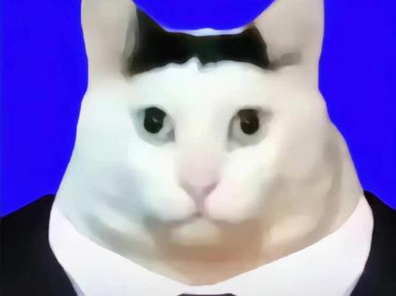 这期视频之后 这个账号可能不久就要跟大家伙说再见了