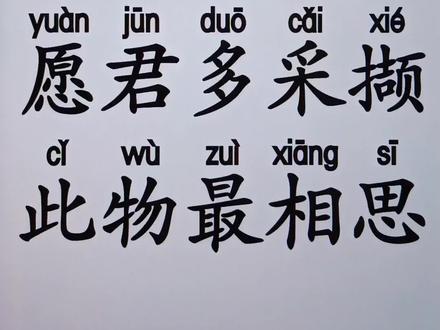 #教育 #成人识字 #知识分享 @DOU+上热门 @DOU+小助手 @抖音小助手 轻松学汉字,手机打字,成人识字,学拼音,学写字,学普通话