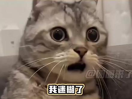 夏季空调怎么开才省电!#空调 #夏季空调使用指南