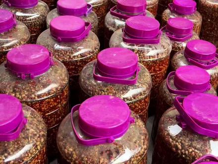 #寿县 #纯手工零添加 酱豆子能吃了,分装发货哈,大瓶玻璃的只支持来店自提🤝