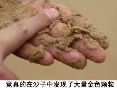 福建渔民沙滩上捡到大量金片,本以为是天降横财,专家:一文不值#奇闻异事 #渔民 #福建 #金云母 #黄金