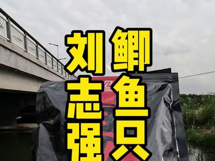 刘志强大师的三体饵料,三合一的功效真的很替钓友考虑,效果如何呢?#钓鱼人 #抖音钓鱼人 #爆护饵料 #爱生活爱钓鱼 #刘志强钓鱼