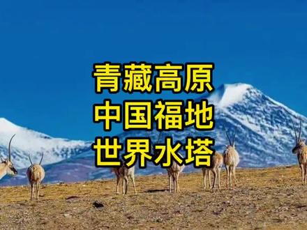 中国为什么没有北回归线荒漠带? #青藏高原 #地理 #王鑫海博士 #奇点ip读书会 #个人ip