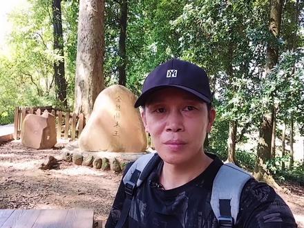 都说金丝楠木比黄金还珍贵,到底是真的吗?我们换算一下就知道了