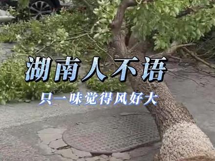 湖南人不语,只觉得风好大#湖南 #大风 #天气