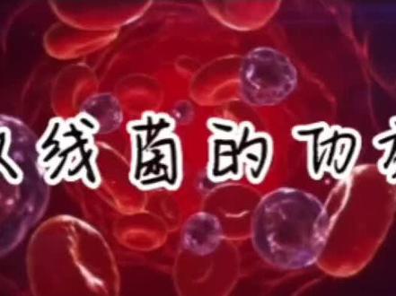 放线菌的功效#传播农业小知识 #农业种植 #三农