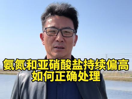 氨氮和亚硝酸盐持续偏高,如何处理#水产养殖 #新农人计划2023 #来抖音学农技 #陈春永虾蟹养殖
