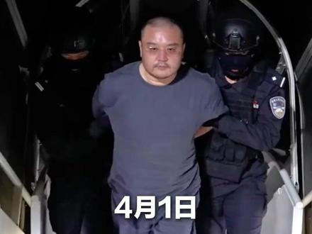 陈志犯罪集团核心骨干成员李雄被押解回国