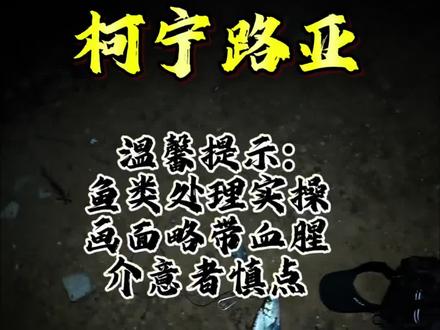 路亚鱼类处理实操,有经验的朋友,欢迎过来的分享。#路亚 #路亚翘嘴 #翘嘴放血 #路亚标点