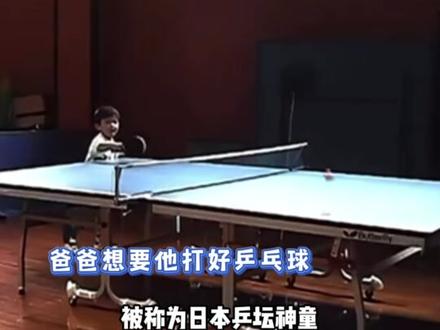 张本快醒醒,天亮了#张本智和 #奥运#乒乓 #励志#樊振东