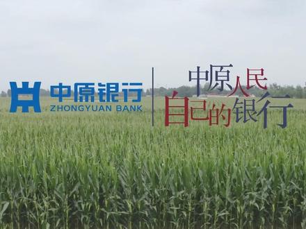 新中原 新服务 新未来,乡村振兴再出发#银行 #中原银行