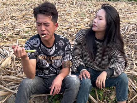 帮你砍完甘蔗就要和我分手,没砍甘蔗的时候怎么不说呢#岑海华
