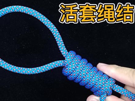介绍一种简单的活套绳结,可以用来锁住小猫小狗等小动物 #绳结 #绳结教程 #打结小技巧 #实用绳结 #绳结打法