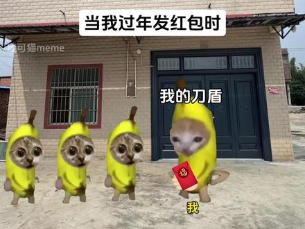 当我过年发红包时 #我的刀盾 #比比拉布 #猫meme