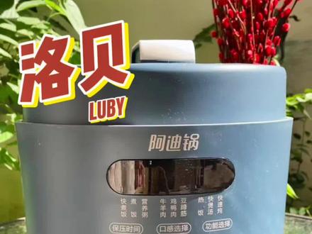 #阿迪锅 正确打开方式~蒸煮焖炖煲样样精通 高压快煮模式#好物推荐🔥 #支持全国发货