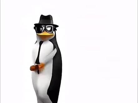 高雅人士来了!#高雅人士#企鹅#抖音舞蹈