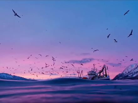 #科普冷知识 #海洋生物 #吸盘鱼 #每天带你涨知识 来和摸鱼界的祖师爷学习如何躺平的!!!