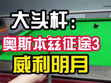 我还是喜欢实木#台球 #放心台球器材 #CuePro台球器材 #征途三 #威利明月
