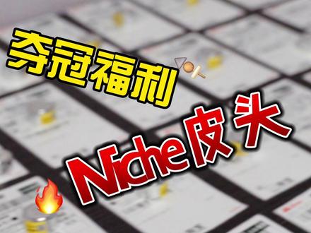 niche皮头活动限时返场! 球友们热情高涨,好评如潮,活动限时返场!#niche皮头 #塔猜亚 #巴比伦台球