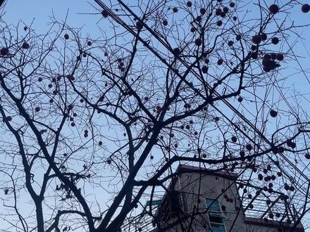 背上背包再次踏上旅程,在马来西亚用银联卡取钱真方便,没有手续费!#海外旅行 #海外奇遇见闻录 #银联卡 #海外取款 #旅行vlog #vlog日常 #vlog十亿流量扶持计划