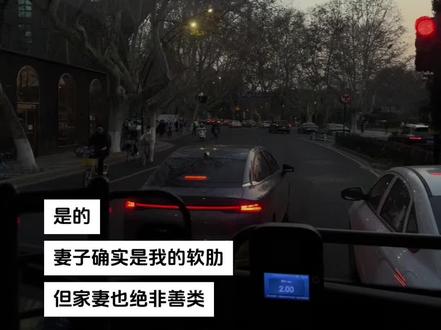 家妻是我的心腹 也是我的心腹大患