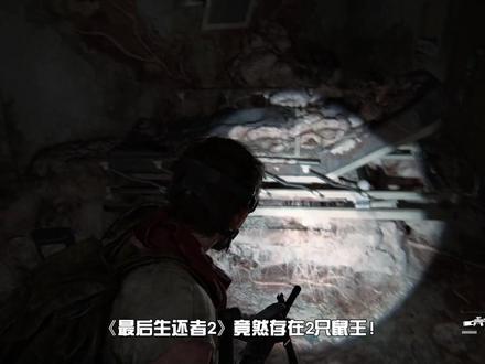 游戏里竟然存在两只鼠王?!《最后生还者2》隐藏细节解析