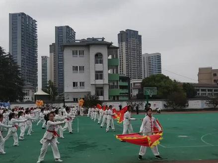 临安城东小学运动会开幕式,武术表演场面壮观😄😄#少年强则国强 #运动会开幕式