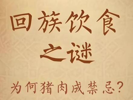 你肯定知道回民不吃猪肉,但你知道为什么吗?#回民 #回族 #回民街 #猪肉 #文化