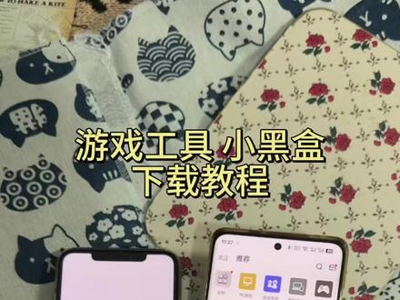 《鸿运宝库》游戏工具小黑盒下载教程来啦#小黑盒 #小黑盒下载教程 #epic #epic喜加一 #epic游戏