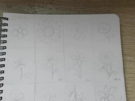 20种不同种类花卉简笔画画法