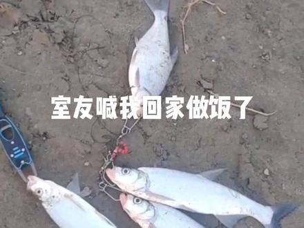 一人一杆一线一钩合法合规垂钓母亲河
#路亚 #2022dou来钓鱼 #原来钓鱼才是抖音运动顶流 #户外 #江豚
