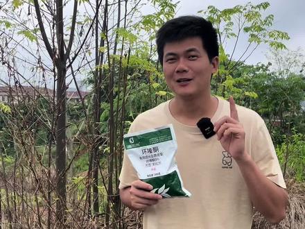 为什么你们买的环嗪酮用了没效果?#环嗪酮 #环嗪酮除大树竹子灌木杂草 #环嗪酮除草剂 #环嗪酮如何辨别真假