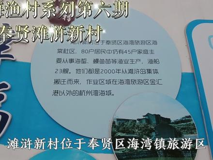 上海又造房子又送户口,把浙江一座岛上居民搬迁过来,有啥目的 #上海 #浙江 #滩浒岛 #渔民 #渔村
