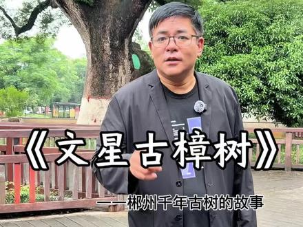 唐朝韩愈亲手种的樟树,成了当地文运气传承的守护!#湖南#郴州#旅行推荐官#人物故事#导游讲解