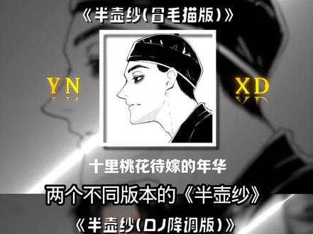 “十里桃花待嫁的年华 凤冠的珍珠 挽进头发” #音乐 #听歌 #热 #半壶纱