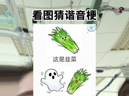 最后那个到底是什么啊#看图猜谐音梗