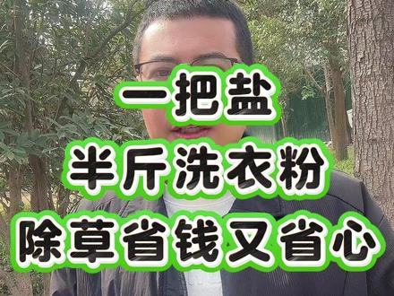 一把盐,半斤洗衣粉,除草省钱又省心! #除草 #除草剂 #三农 #农业种植 #农业