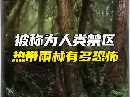 被称为人类禁区的亚马逊雨林有多恐怖?#科普 #未解之谜 #亚马逊雨林