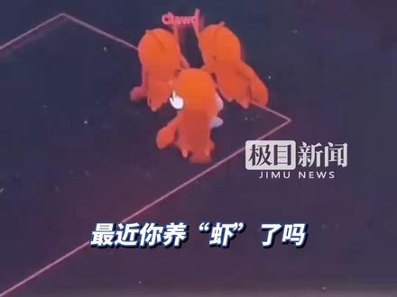 最近,你养“虾”了吗?OpenClaw爆火,网友称它是最强AI助理,能24小时不间断干活!提醒:易引发网络攻击、信息泄露,使用时务必谨慎