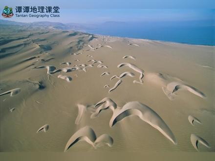 高中地理 | 新月形沙丘的演化过程及考点 新月形沙丘的平面形如新月,丘体两侧有顺风向延伸的两个翼
由于沙堆使地面起伏,风沙流经过沙堆时,使近地面风速发生变化,从而使气压分布不同。在沙堆顶部,风速较大,空气压力较小;在沙堆的背风坡,风速较小,空气压力较大。从沙堆顶部和绕过沙堆两侧来的气流在沙堆背风坡产生涡流,并将带来的沙粒堆积在沙堆后的两侧,在沙堆背风坡形成马蹄形小洼地。随着小凹地将进一步扩大,从沙堆顶部和两侧带来的沙粒在涡流的作用下不断堆积在沙堆后部的两侧,形成幼年型新月形沙丘。幼年型新月形沙丘进一步扩大增高,使气流通过它的顶峰附近和背风坡坡脚时,产生更大的压力差,从而在背风坡形成更大漩涡,使原有浅小马蹄形洼地扩大,从迎风坡吹越沙丘顶的流沙,只在沙丘顶部附近的背风坡处堆积,沙粒堆积到一定程度就会在重力作用下下滑,再被涡流吹向两侧堆积,这时就形成典型的新月形沙丘。
简单来说,就是跳跃和滚动使得沙粒落在滑动面上,不稳定的积累逐渐形成,积累的沙粒滑落到底部使沙丘向前生长,再被涡流吹向两侧堆积,就形成新月形沙丘。新月形沙丘迎风坡为风力沉积,分选性好,迎风坡坡底沙粒粒径较大,坡顶较小。背风坡为重力沉积,粒径大的颗粒滑动距离更远,背风坡坡底沙粒粒径大于坡顶。迎风坡坡度较缓,背风坡坡度较陡。#知识科普 #高中地理 #地理 #新月形沙丘 #高考地理